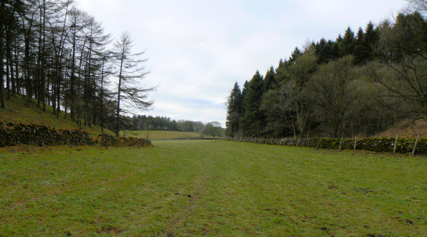 Long Dale Long Dale